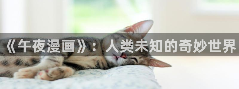 汗汗漫画网页入口