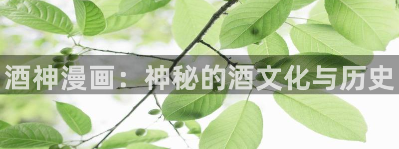 汗汗漫画免费视频