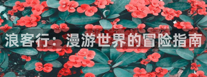 汗汗漫画汗汗漫画